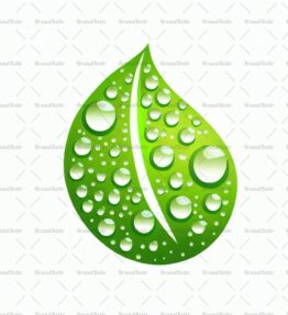 Tautropfen auf einem Blatt